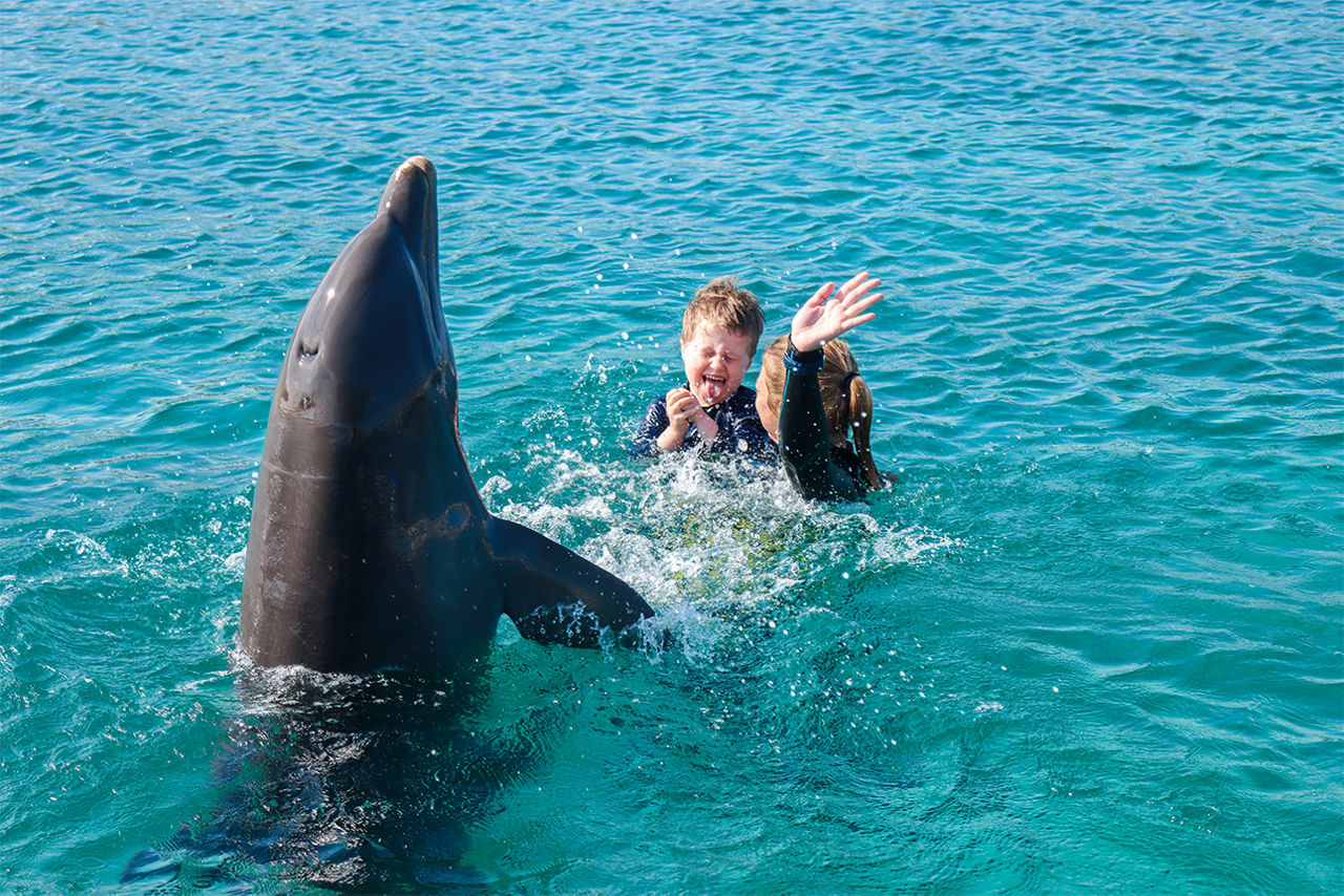 Felix bei der Delfin-Therapie