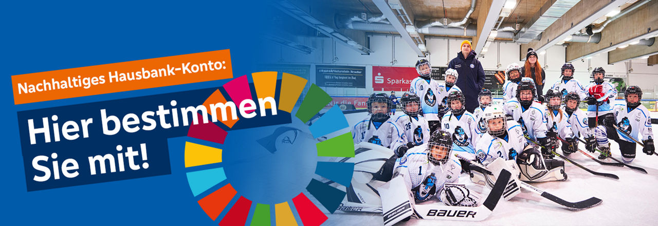 Mannschaftsbild der Icefighters Juniors mit Logo nachhaltiges Hausbankkonto