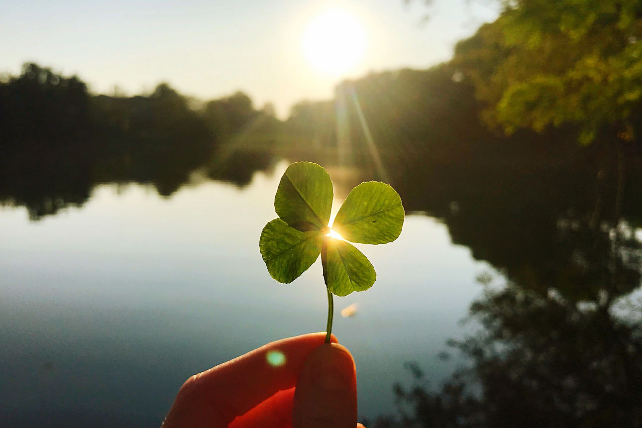 Vor einem See hält eine Hand ein vierblättriges Kleeblatt gegen die Sonne