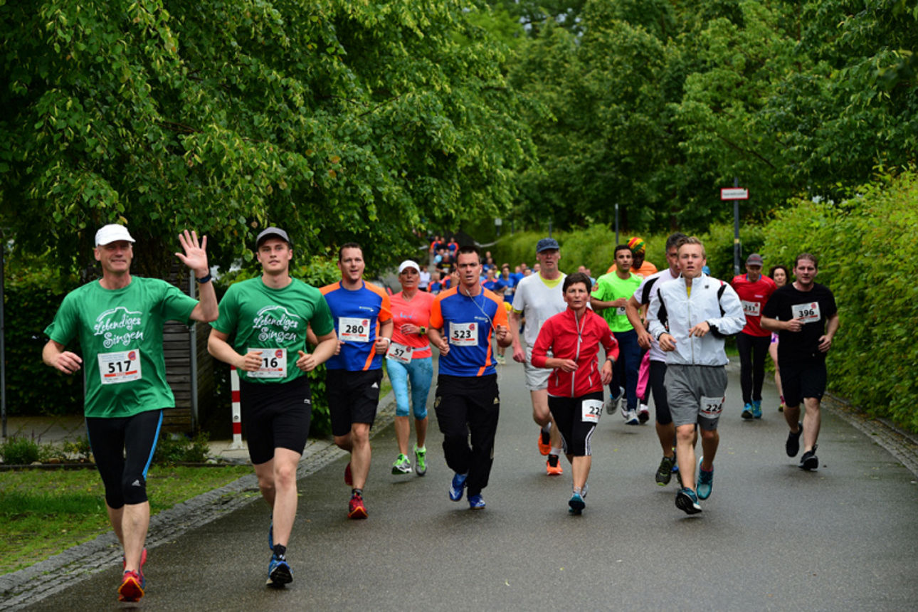 Bild vom Stadtlauf Singen 2016