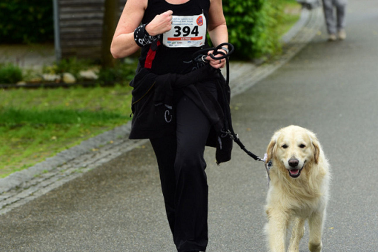 Bild vom Stadtlauf Singen 2016