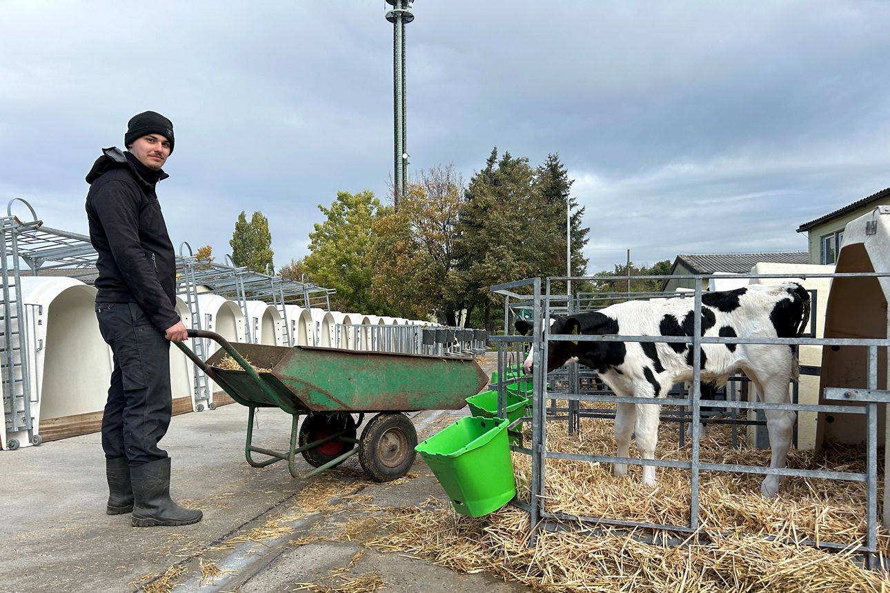 Projektwochen unsrer Auszubildenden