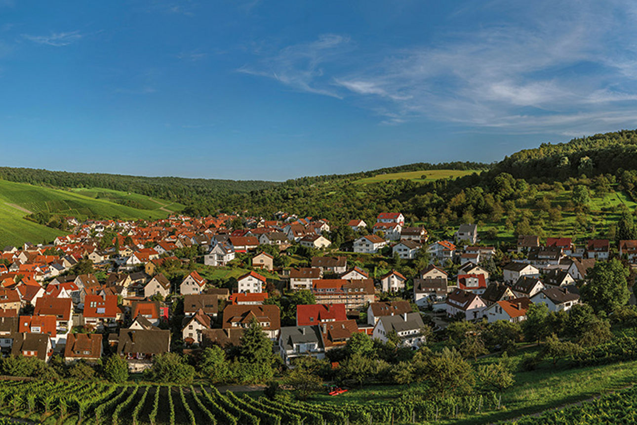 Panoramaaufnahme Weinstadt