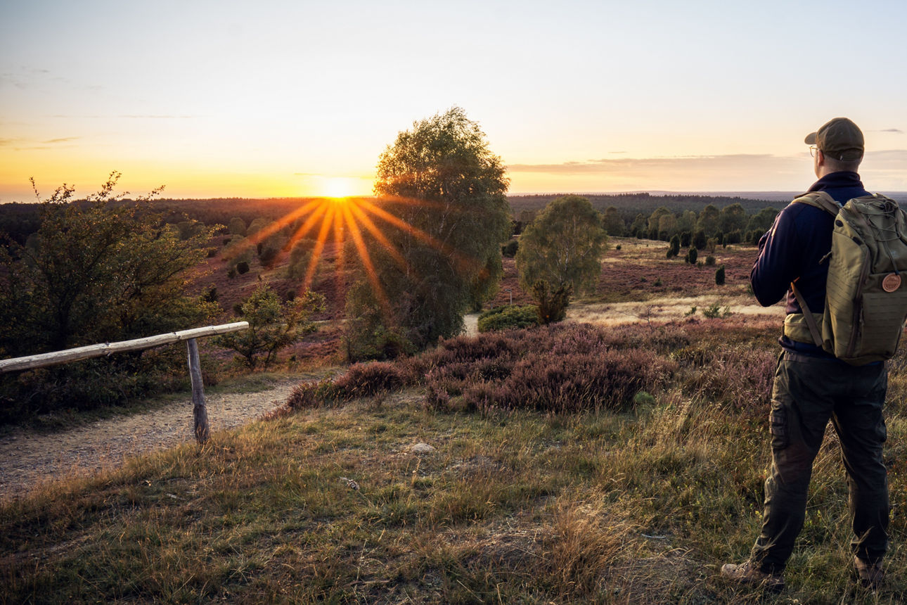 Wanderer blickt auf einen Sonnenuntergang in der Lüneburger Heide