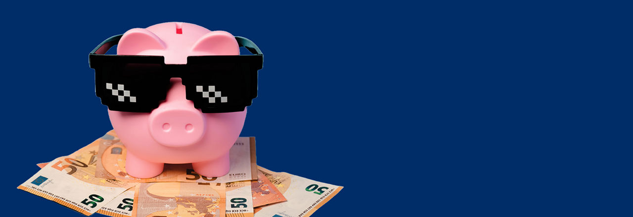Ein Sparschwein mit Sonnenbrille steht auf mehreren 50 Euro Scheinen