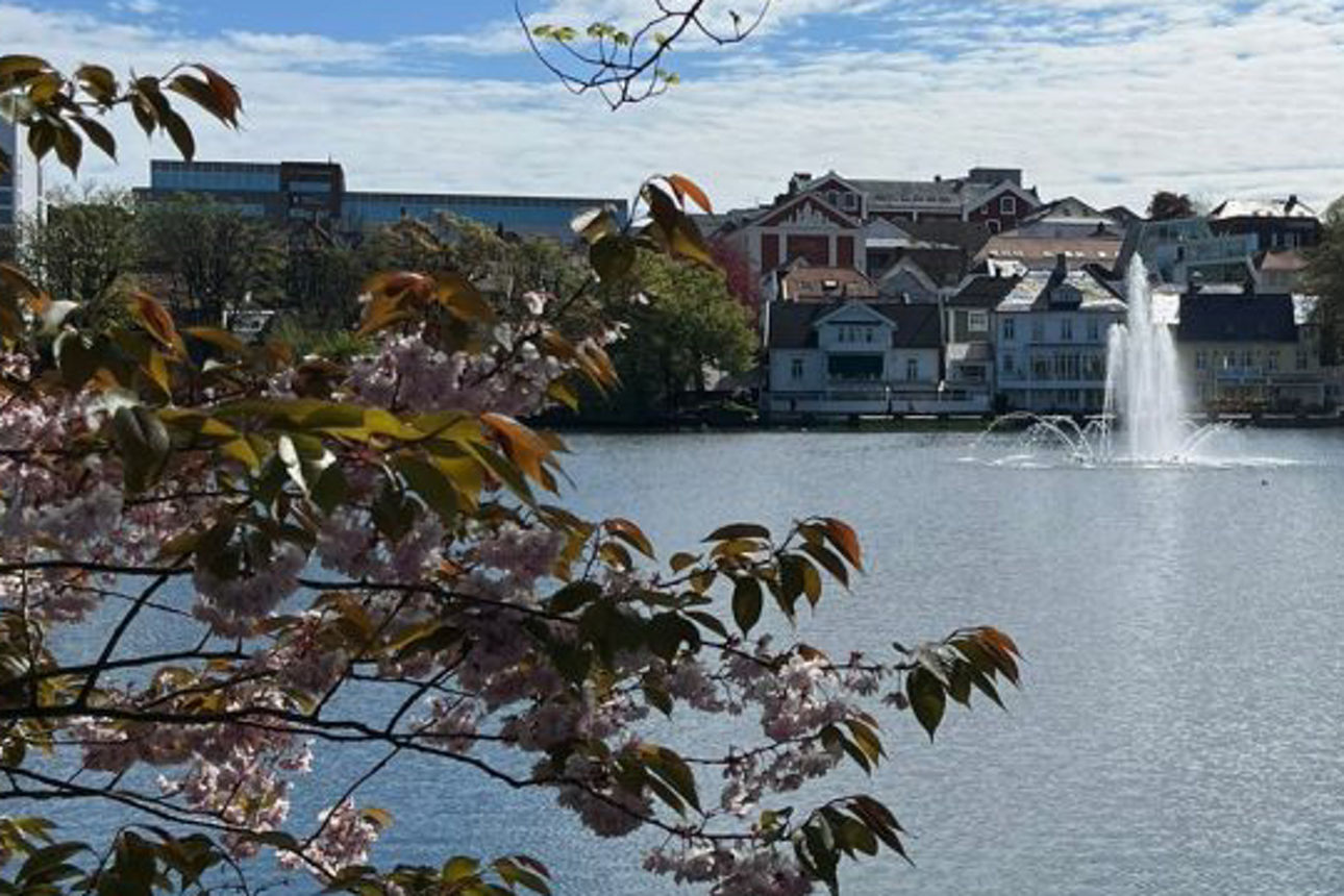 Foto vom See in Stavanger mit der Stadt im Hintergrund