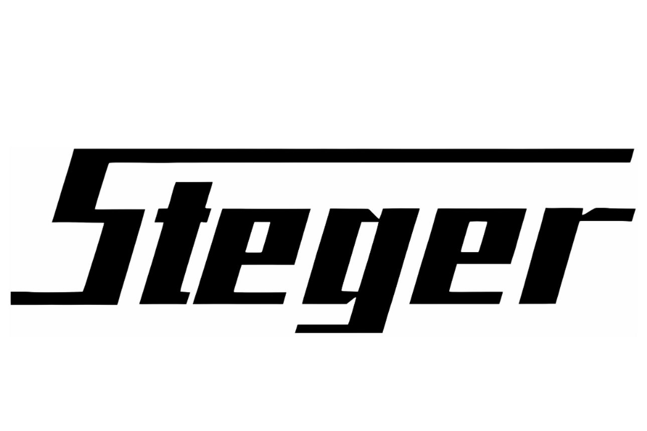 Logo Steger