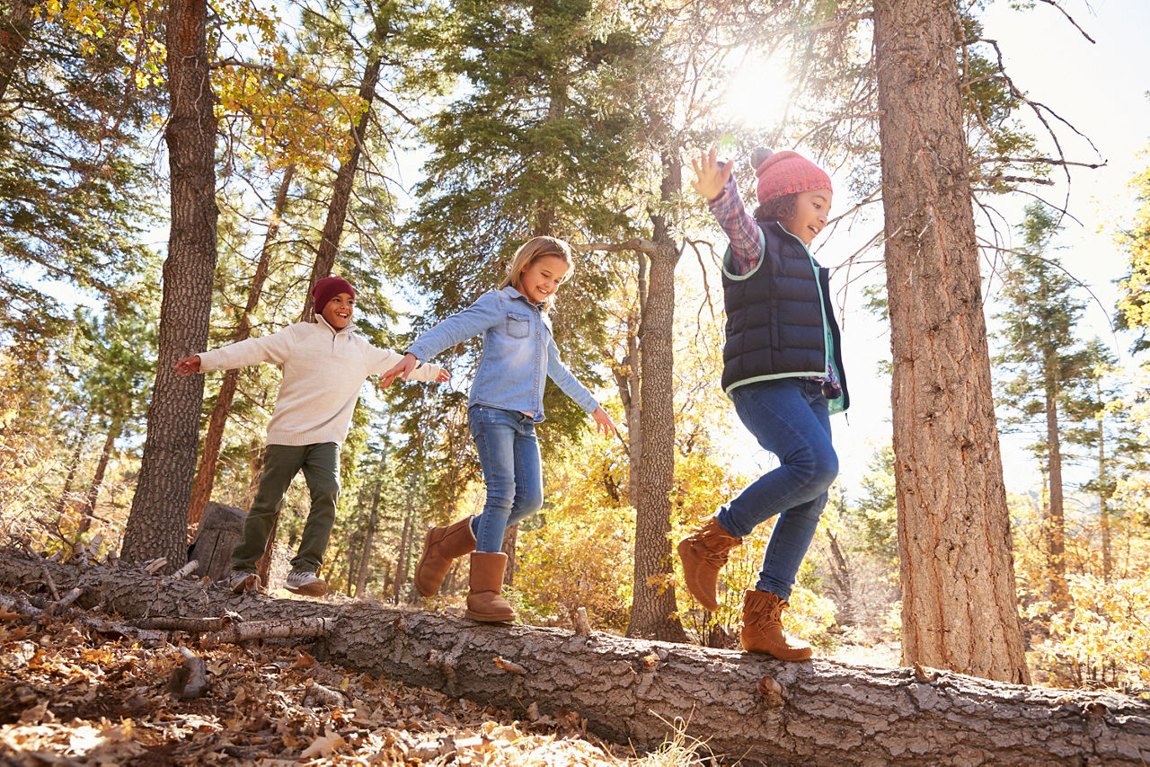 Drei Kinder laufen im Wald auf einem gefallenen Baumstamm