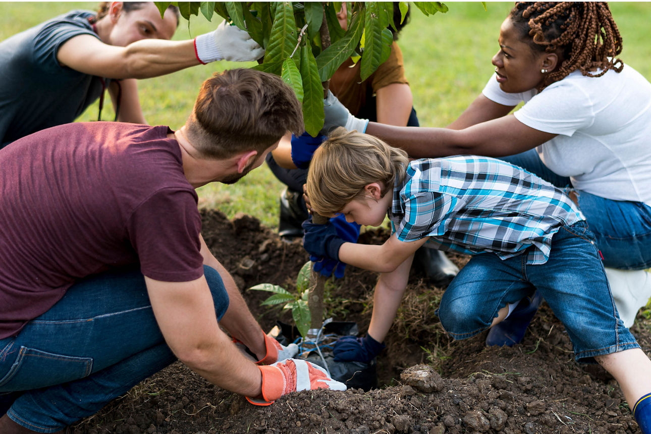 Gruppe unterschiedlicher Personen pflanzt einen Baum
