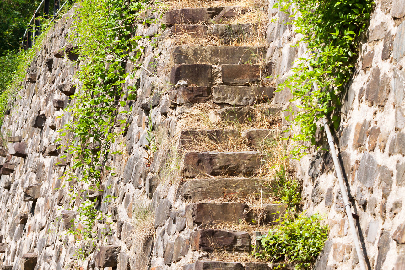 Treppe in Weinbergen