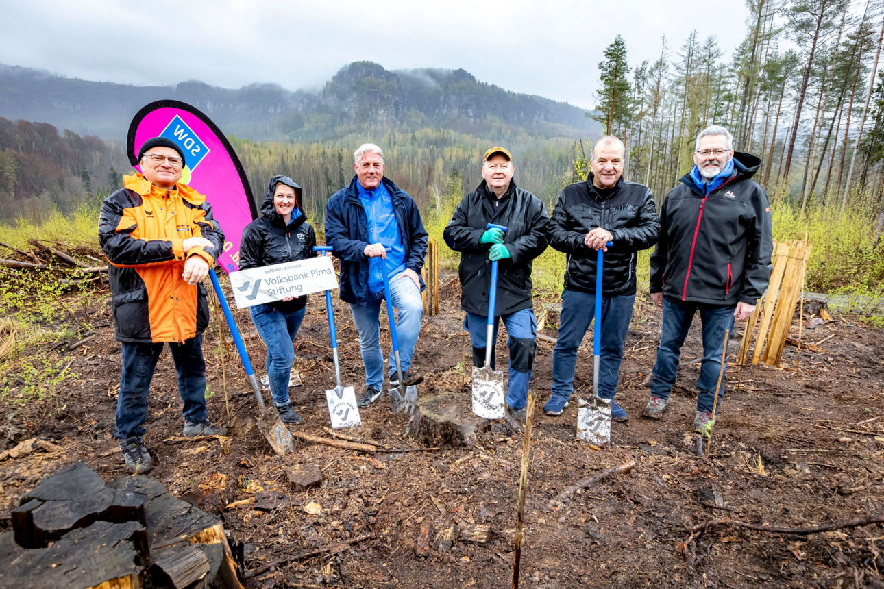 6 Personen in Regenkleidung mit Sparen stehen auf Lichtung mit Blick in die Berge bei trübem Wetter