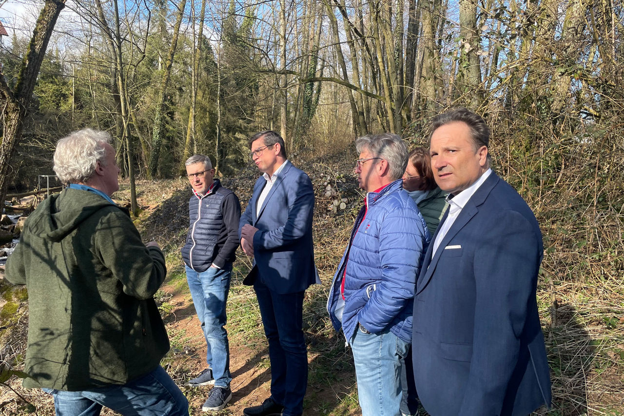 Gruppe steht im Wald