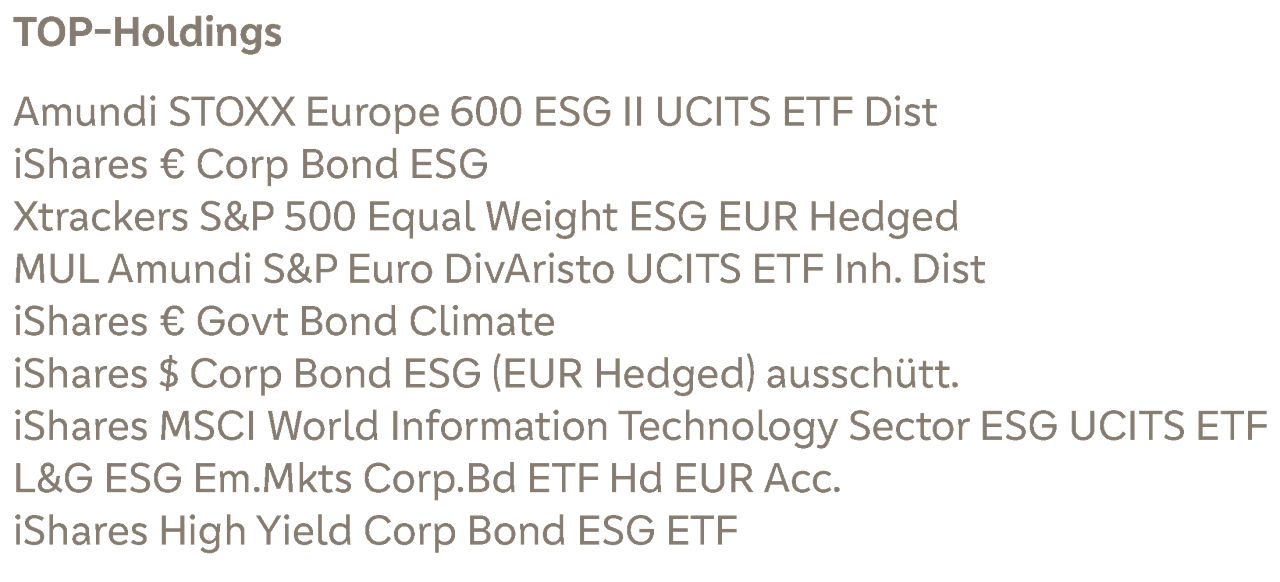 Top-Holdings