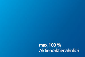 Blauer Hintergrund mit Text - max. 100% Aktien/ aktienähnlich
