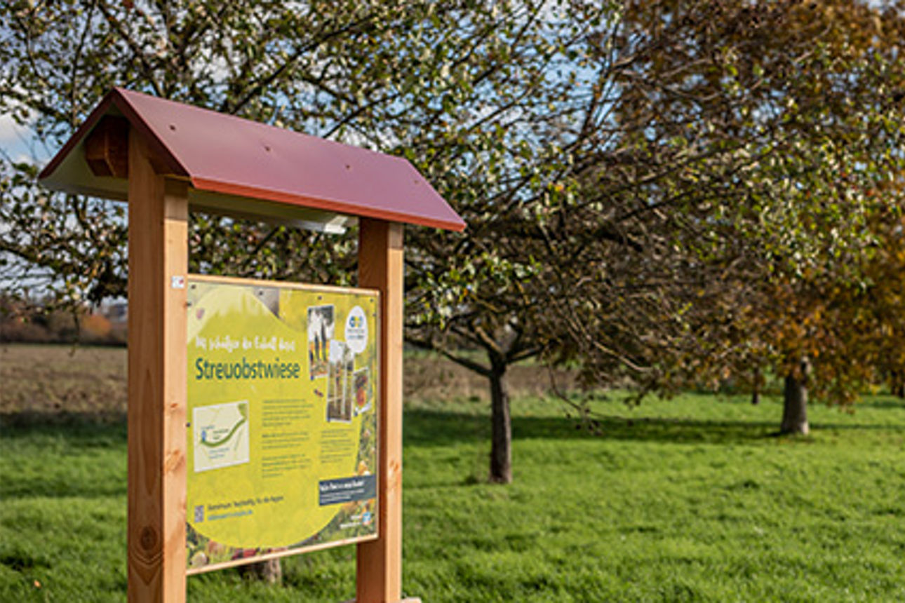 Blick auf eine der Streuobstwiesen