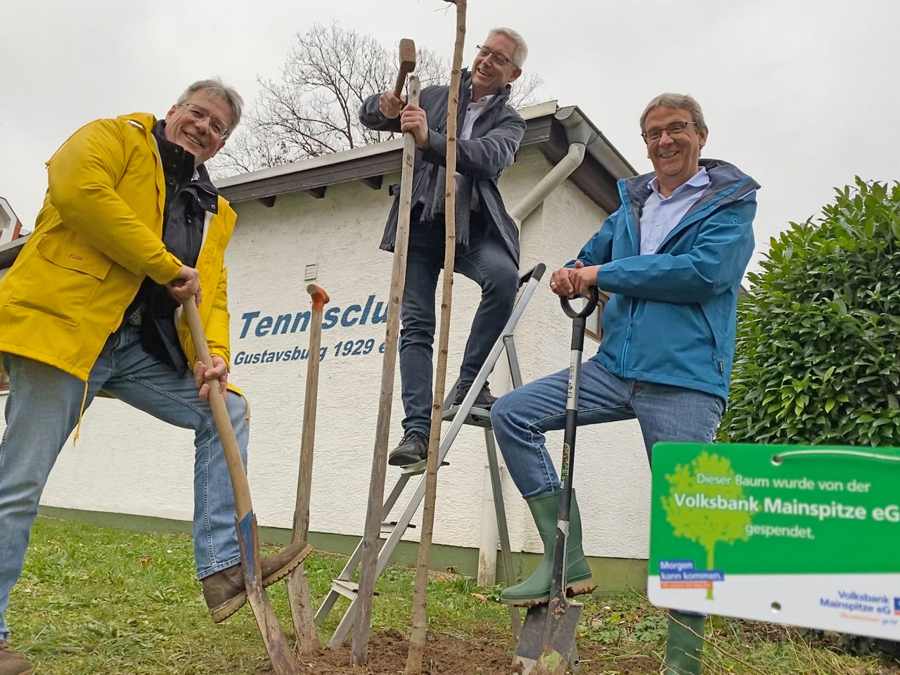 Herr Haas pflanzt mit Tennisclub Gustavsburg eV 2  Bäume ein.