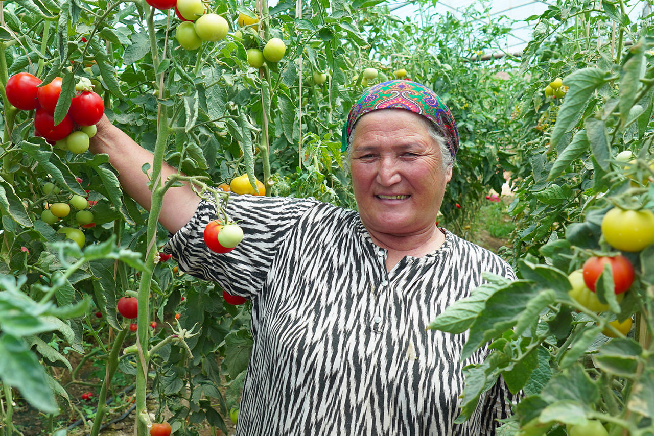 Eine Frau steht inmitten von Tomatensträuchern 