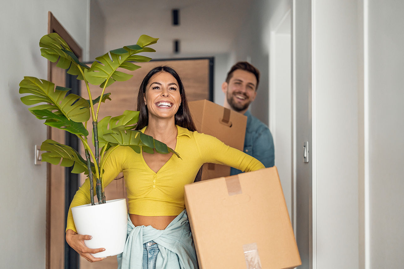 Frau und Mann mit Pflanze und Umzugskartons in der Hand