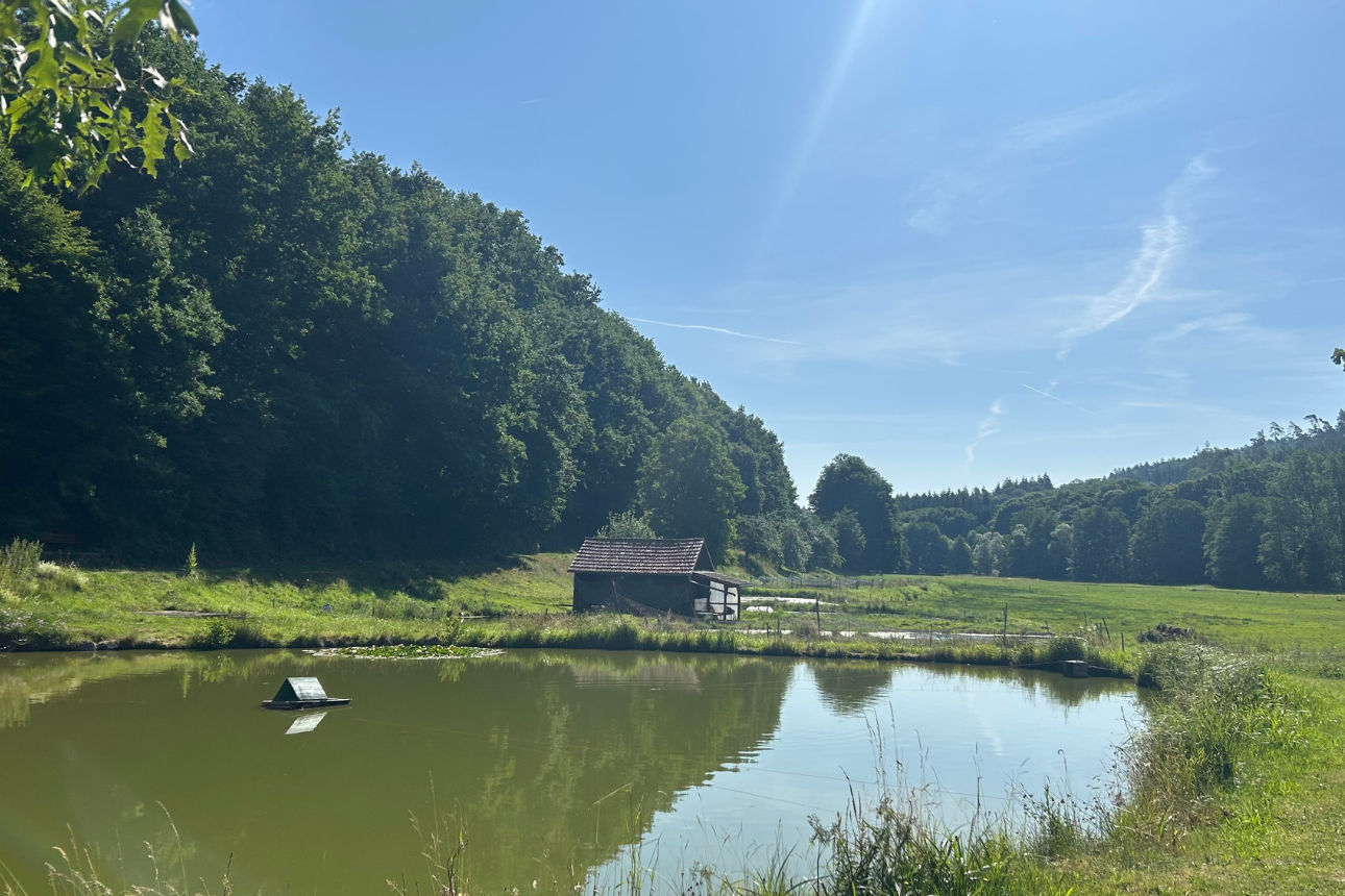 Mitgliederakademie