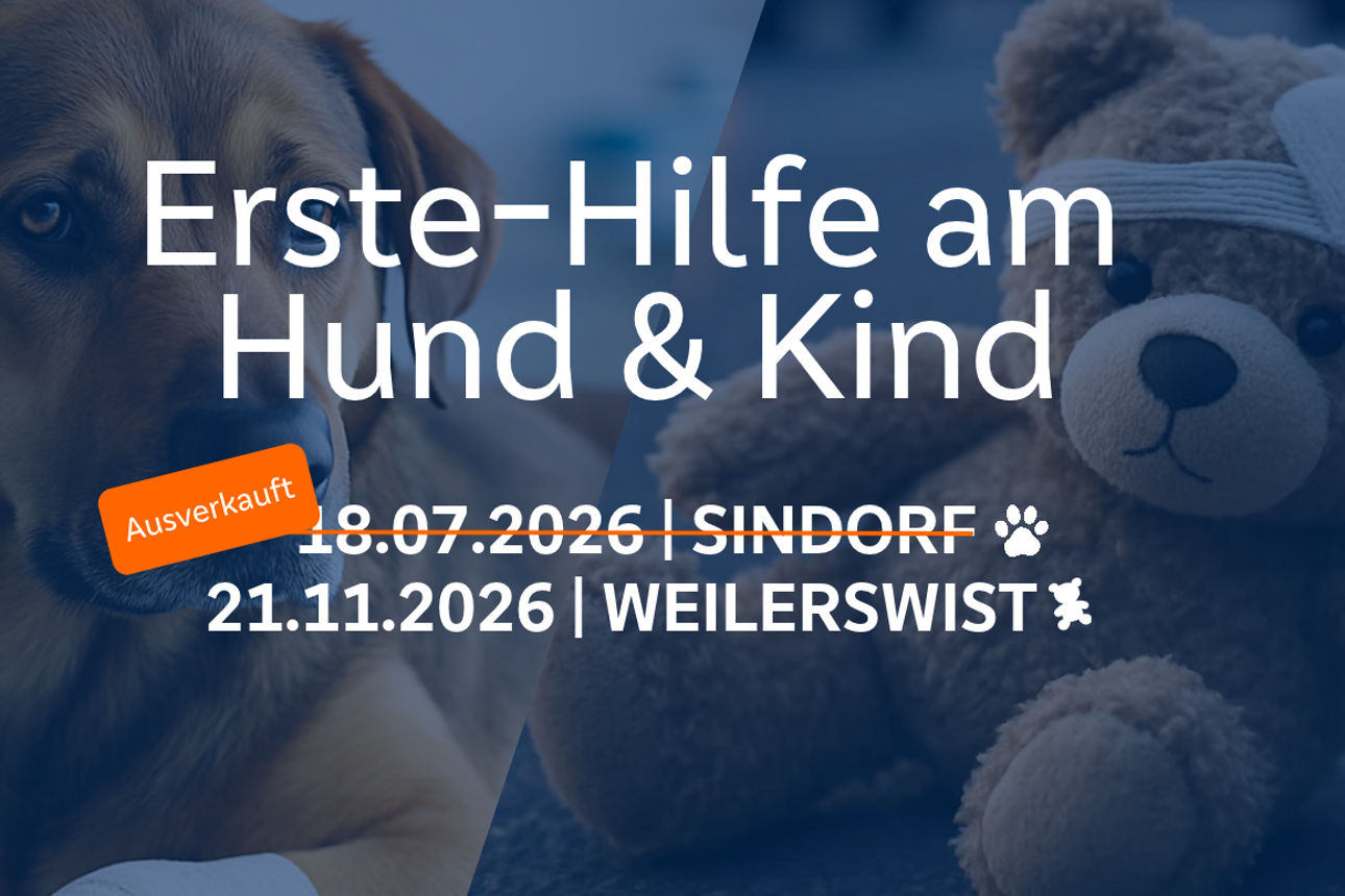 Erste-Hilfe-Kurs
