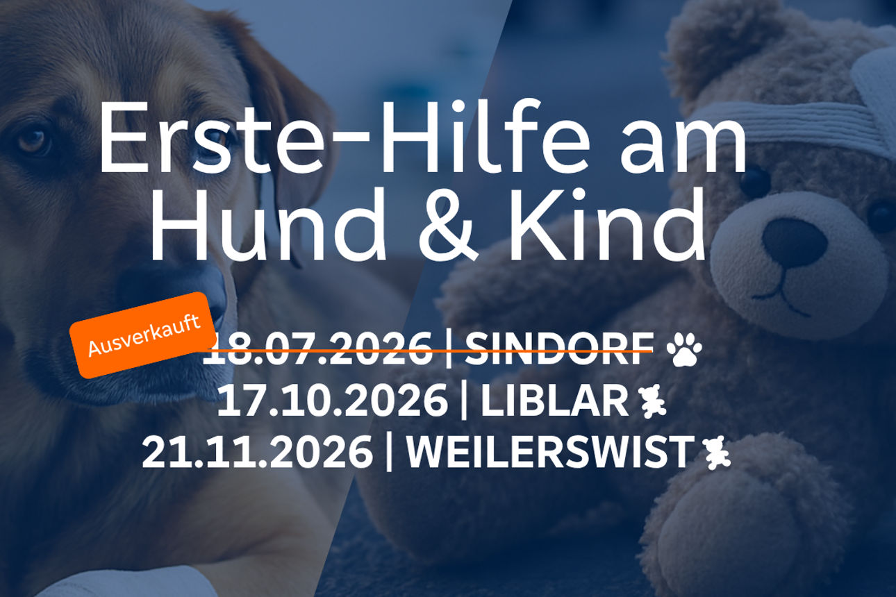 Erste-Hilfe-Kurse 