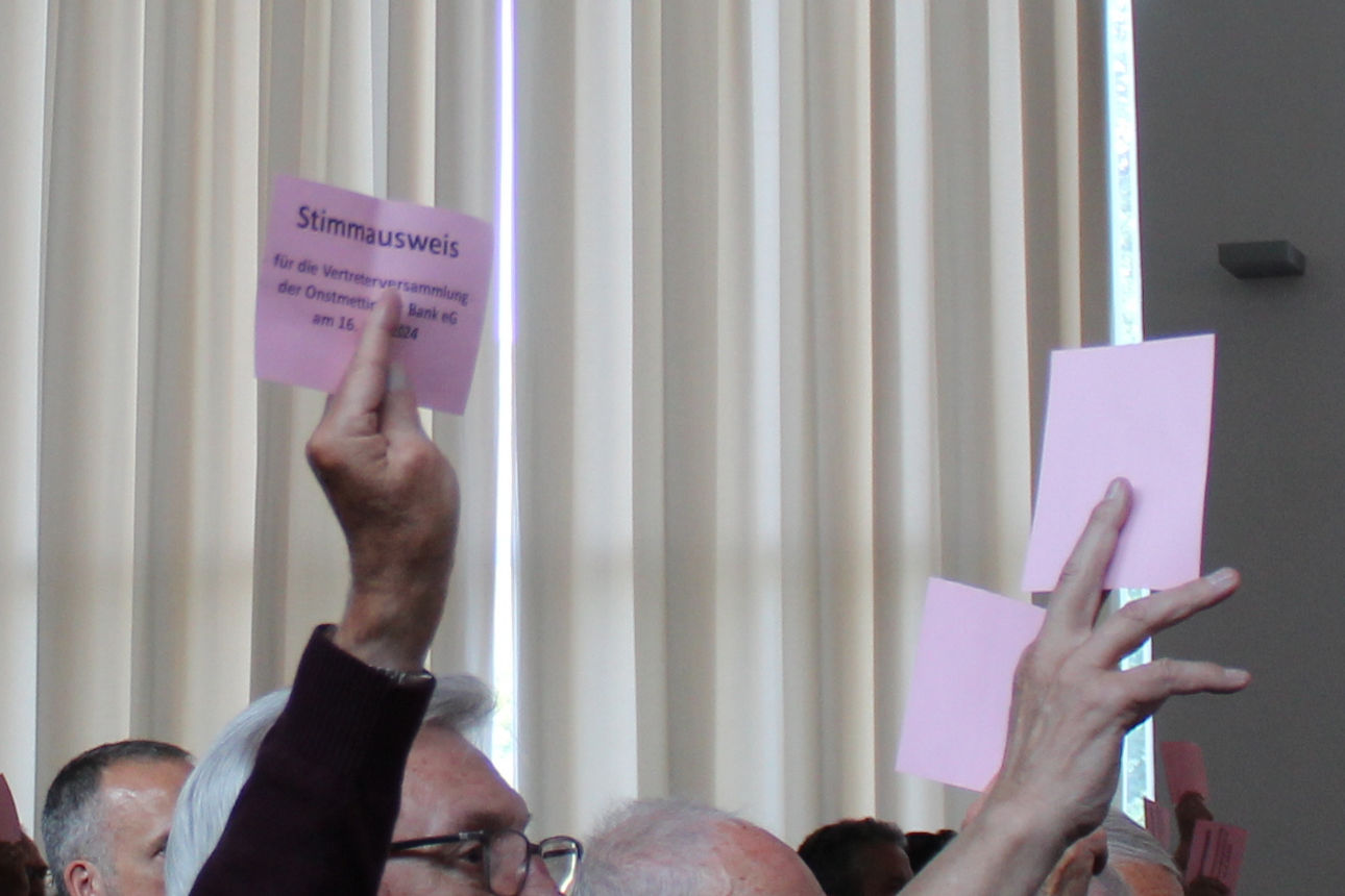 Vertreter bei der Abstimmung