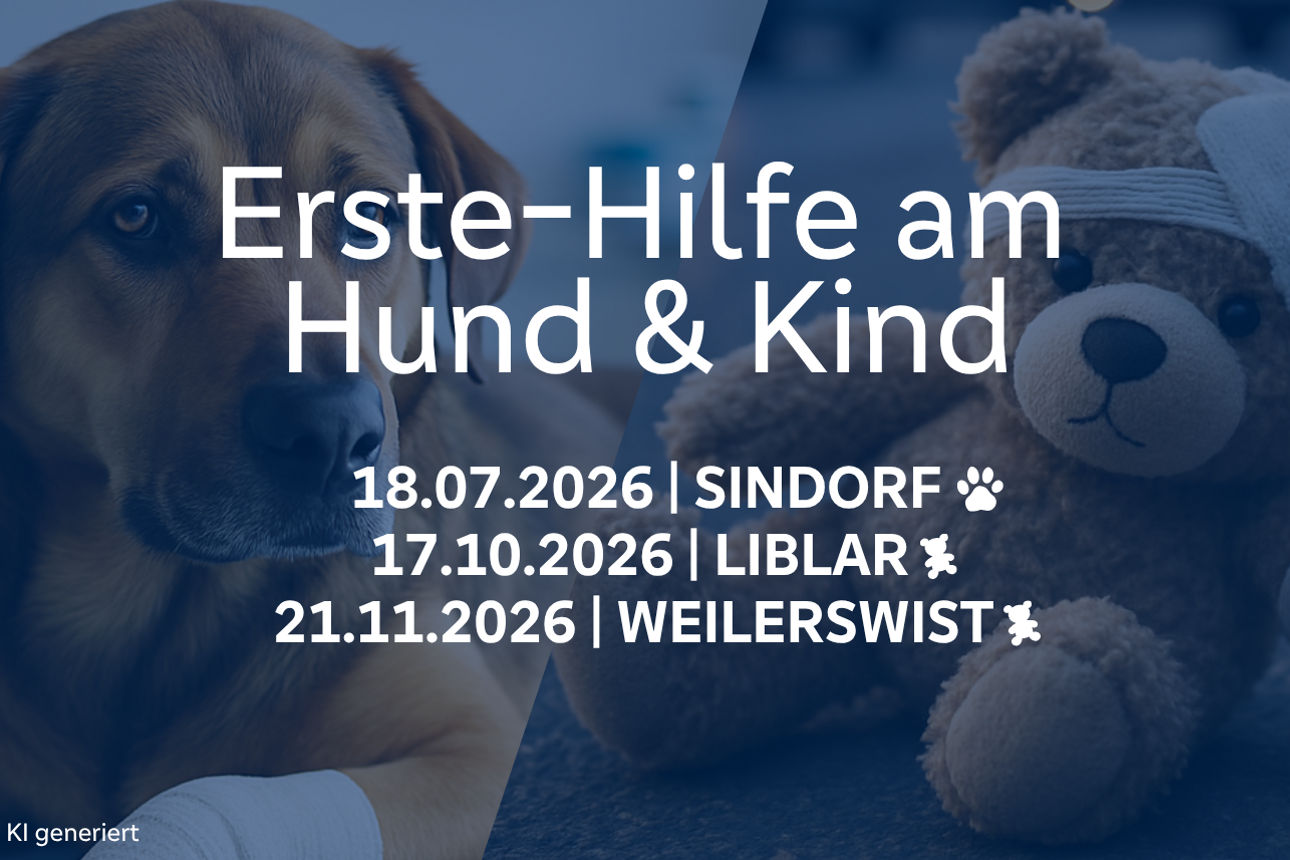 Erste-Hilfe-Kurse 
