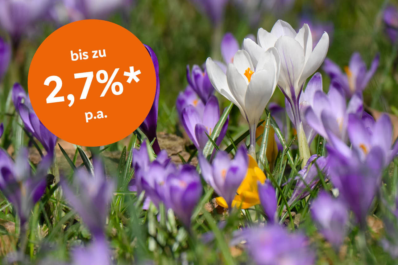 Kroskusse Frühling