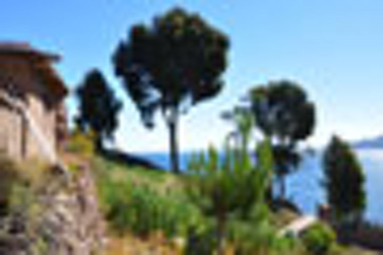 Foto von Bäumen und einem Haus in einer mediterranen Umgebung