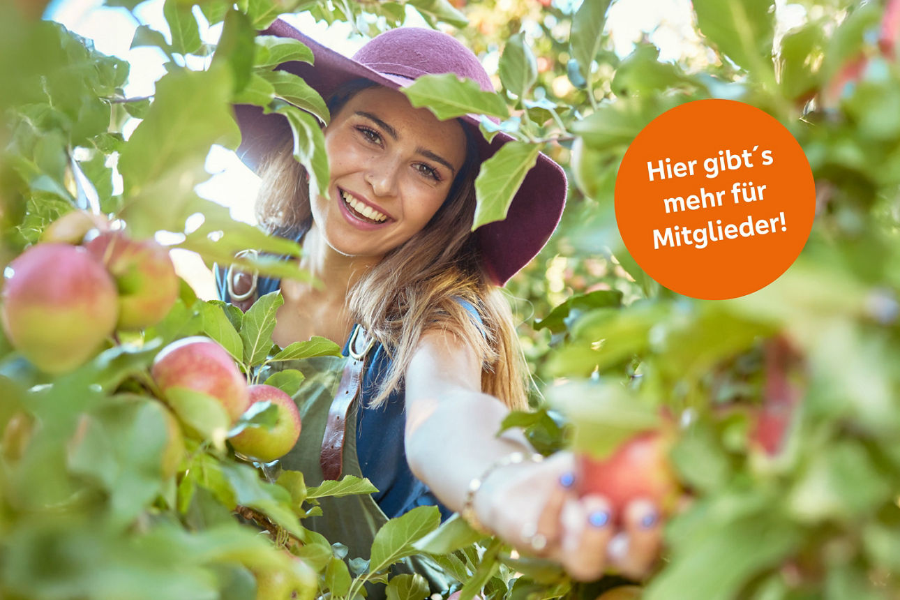 Eine Frau mit Hut steht bei einem Apfelbaum. Dazu ein orangener Kreis mit der Aufschrift: Hier gibt`s mehr für Mitglieder!