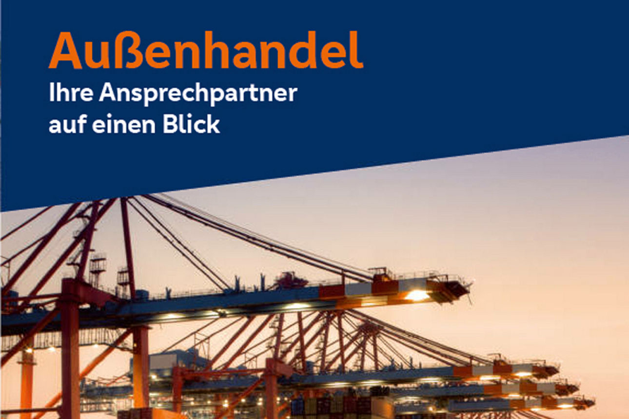 Ansicht des Flyer VR International Hessen
