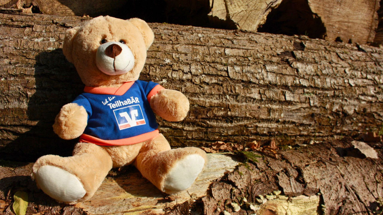 Ein brauner Teddybär mit einem blauen T-Shirt, auf dem "TeilhaBÄR" steht, sitzt auf einem Baumstamm. Im Hintergrund sind weitere Baumstämme zu sehen.