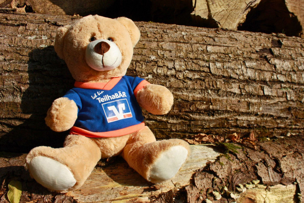 Ein brauner Teddybär mit einem blauen T-Shirt, auf dem "TeilhaBÄR" steht, sitzt auf einem Baumstamm. Im Hintergrund sind weitere Baumstämme zu sehen.