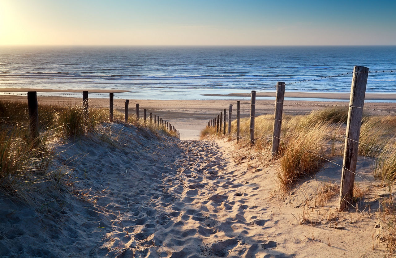 strand
