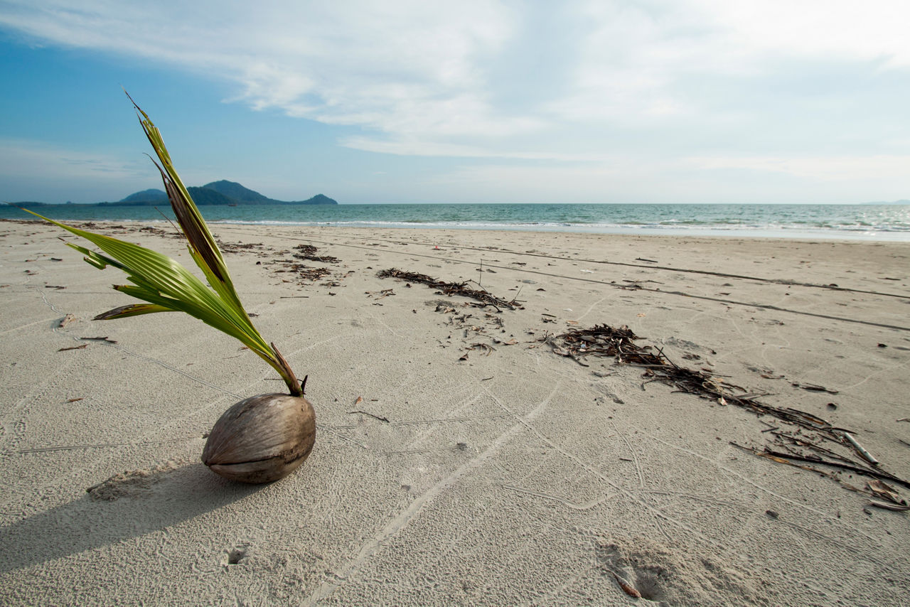 strand
