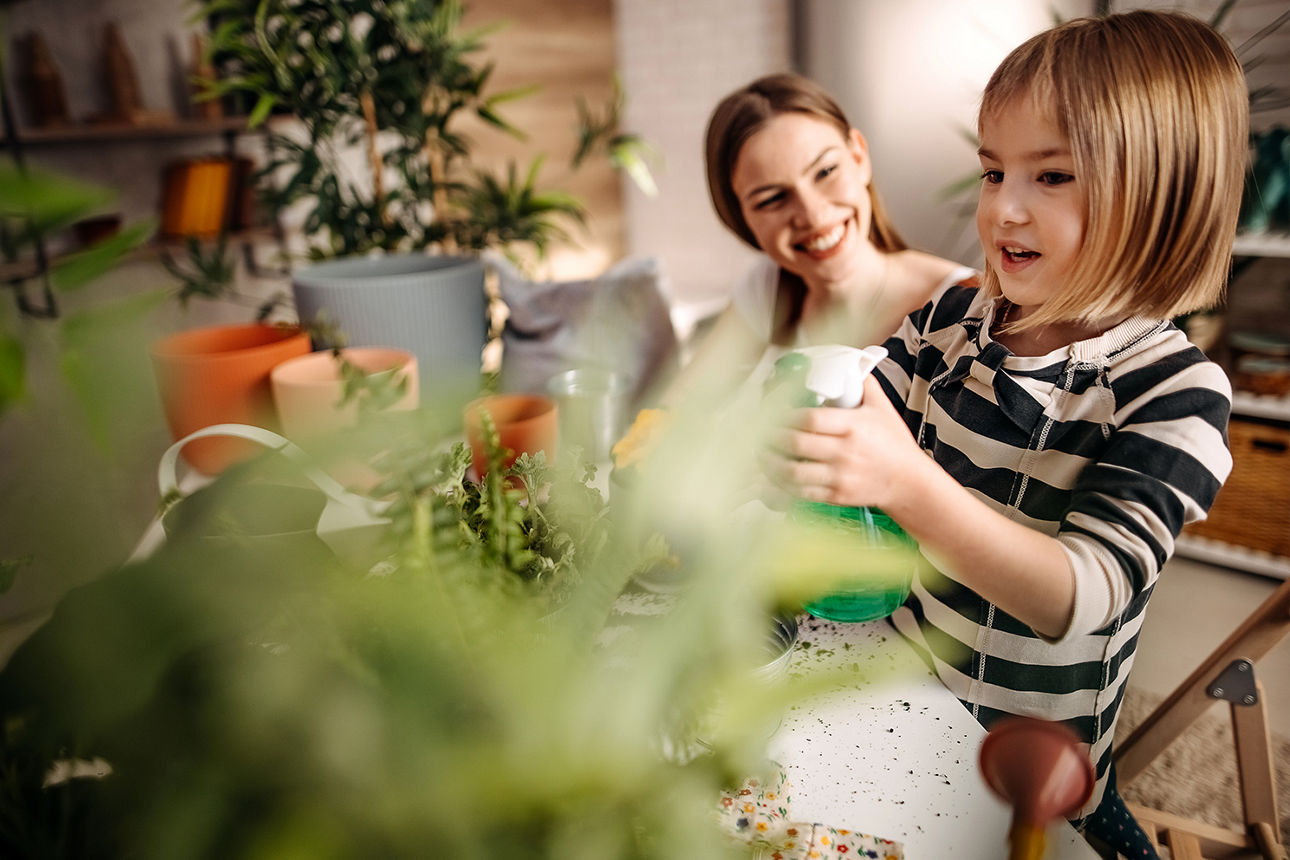 green festgeld stellantis direktbank