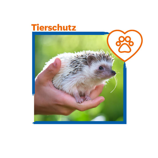 Kategorie Tierschutz