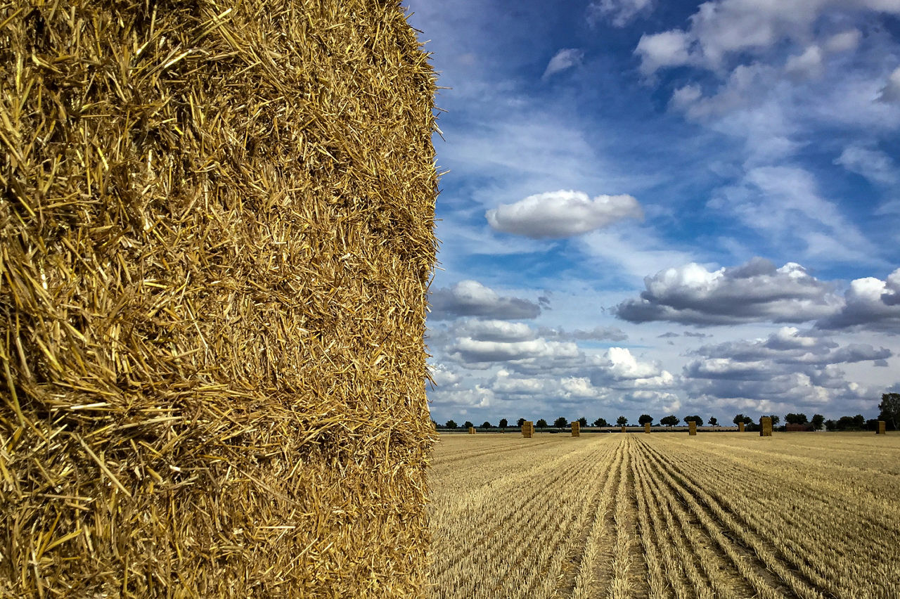 Strohballen auf Feld