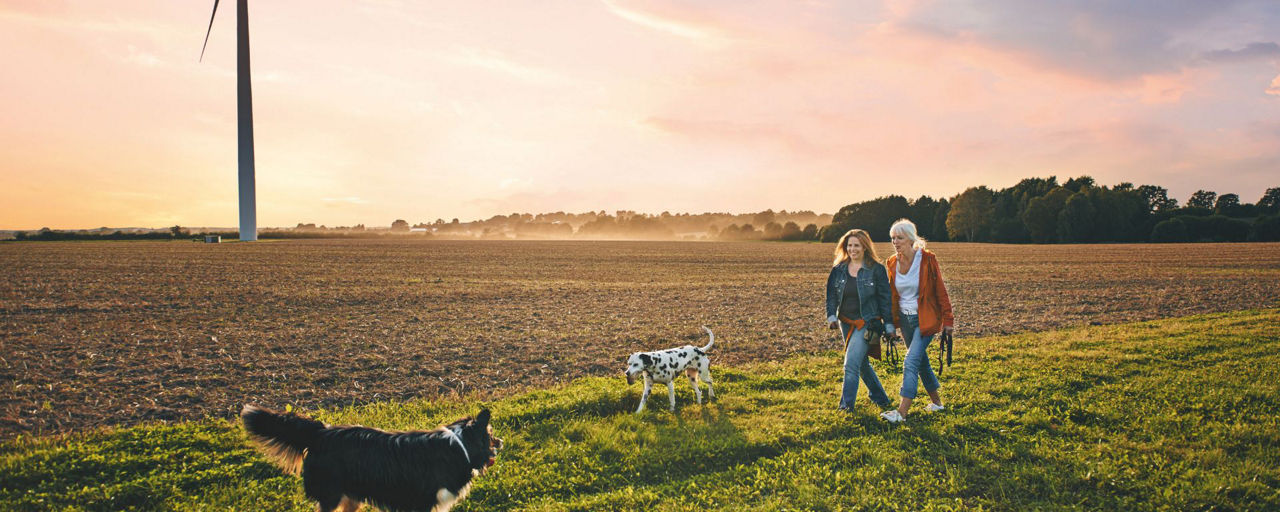 zwei Frauen gehen mit zwei Hunden spazieren