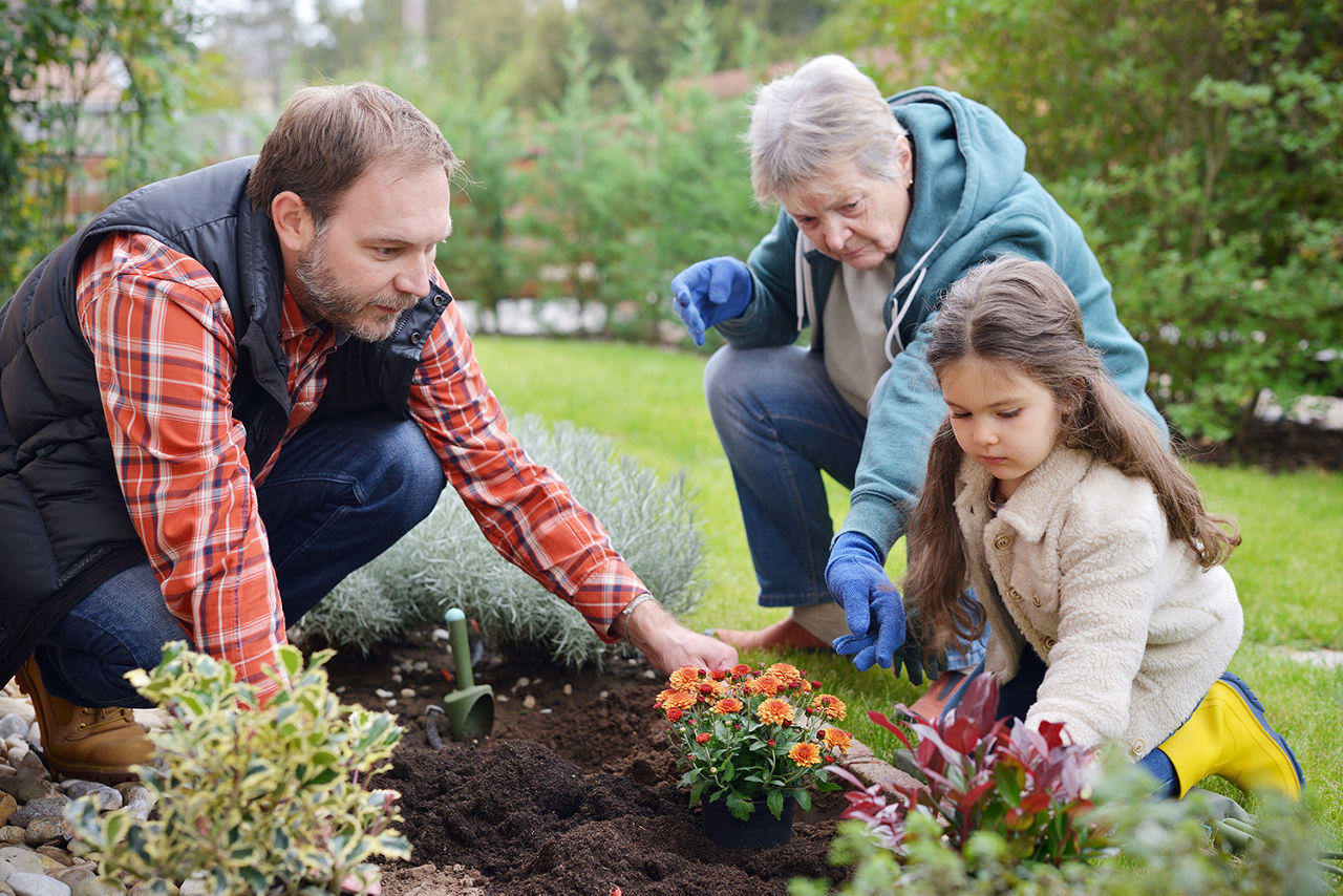 3 Generationen pflanzen im Garten