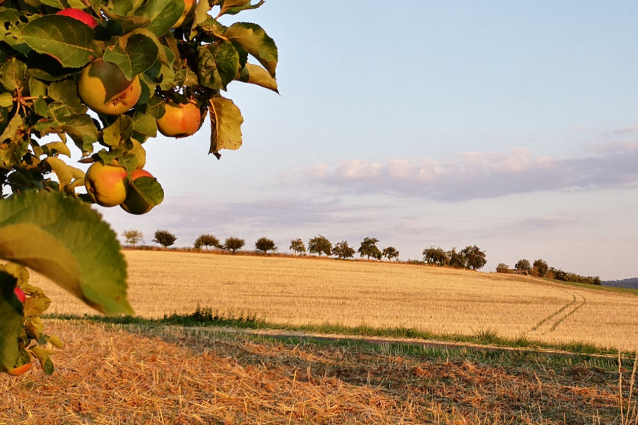 Ein Landwirt mit seinem Traktor vor einer E-Ladesäule