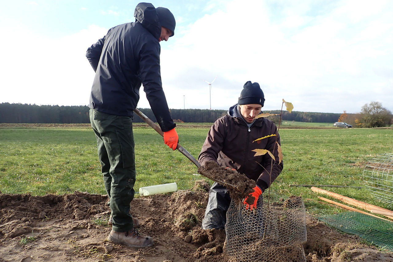 Zwei Personen schaufeln ein Loch für einen Setzling
