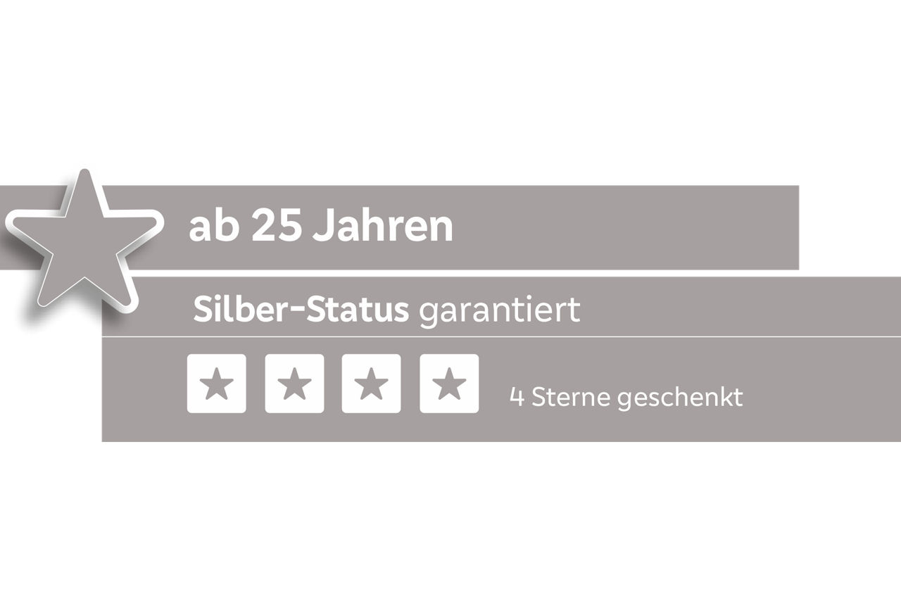 Junge Kunden Silber Status