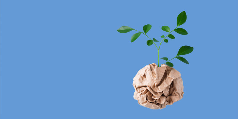 Papierkugel aus der ein kleiner Baum wächst auf hellblauem Hintergrund