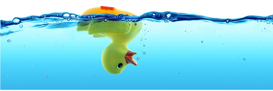 Quietscherentchen im Wasser auf dem Kopf