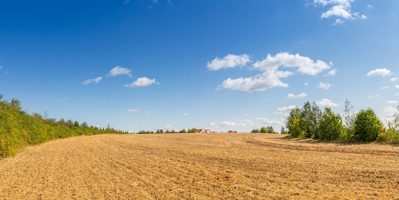 Ackerland