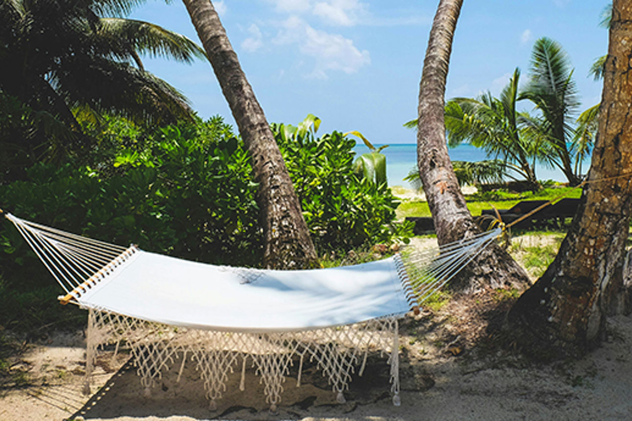 Hängematte am Palmenstrand