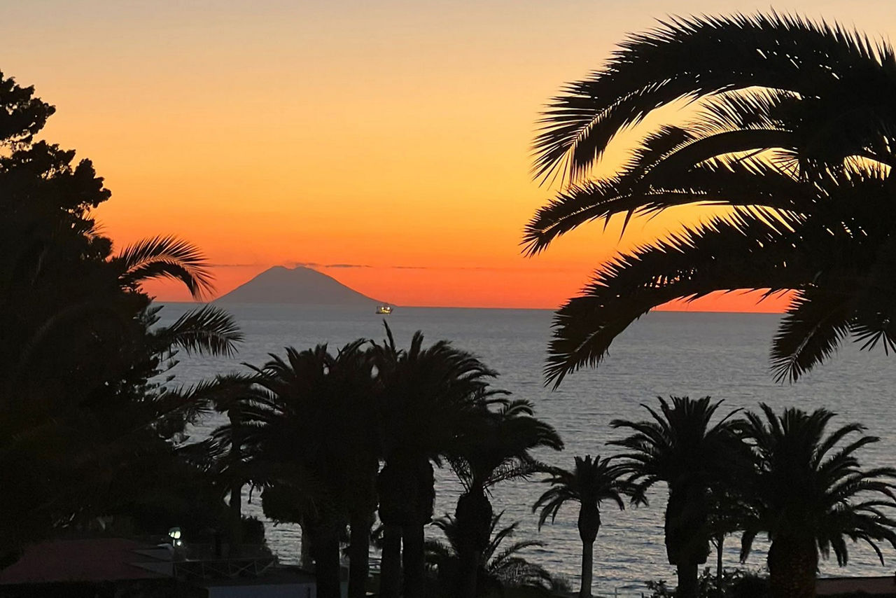 Sonnenuntergang mit Blick auf das Meer - Palmen im Vordergrund - in Tropea