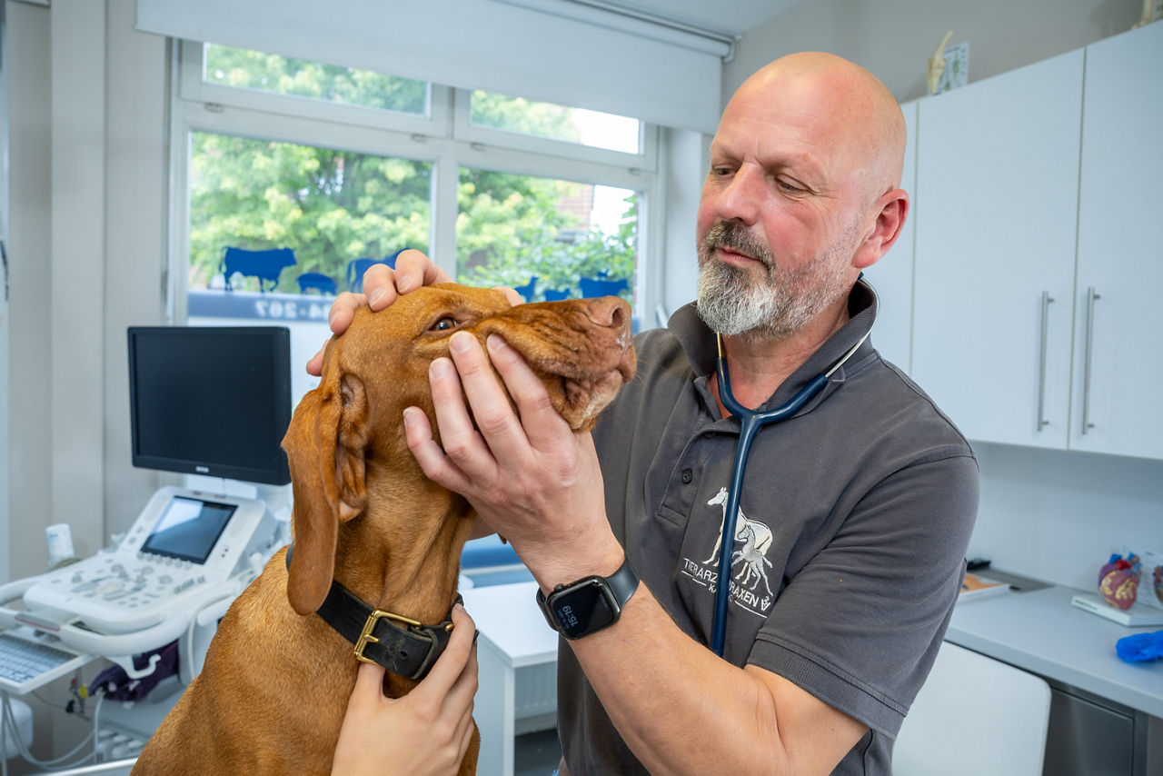 Dr. Jörg Kaling mit Hund in Behandlungsraum