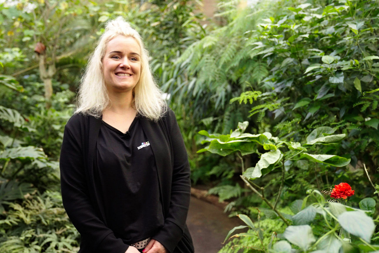 Schmetterlingspark Buchholz: Tini und das große Flattern